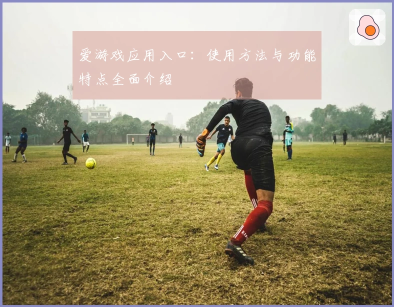 爱游戏应用入口：使用方法与功能特点全面介绍